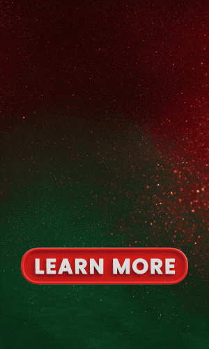 Holiday IT Project Offer 2025