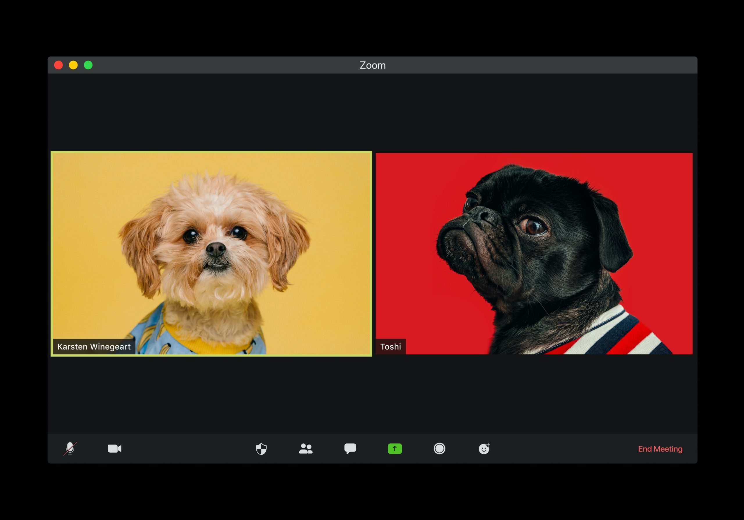 Tips for Using Zoom Safely