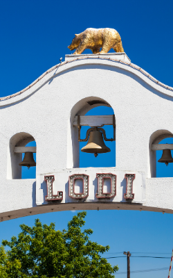 LodiLogo