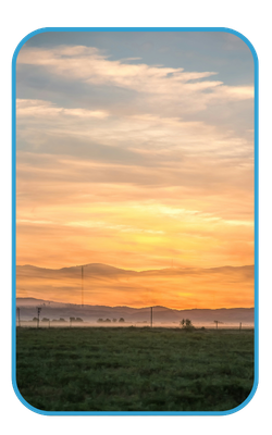 Manteca